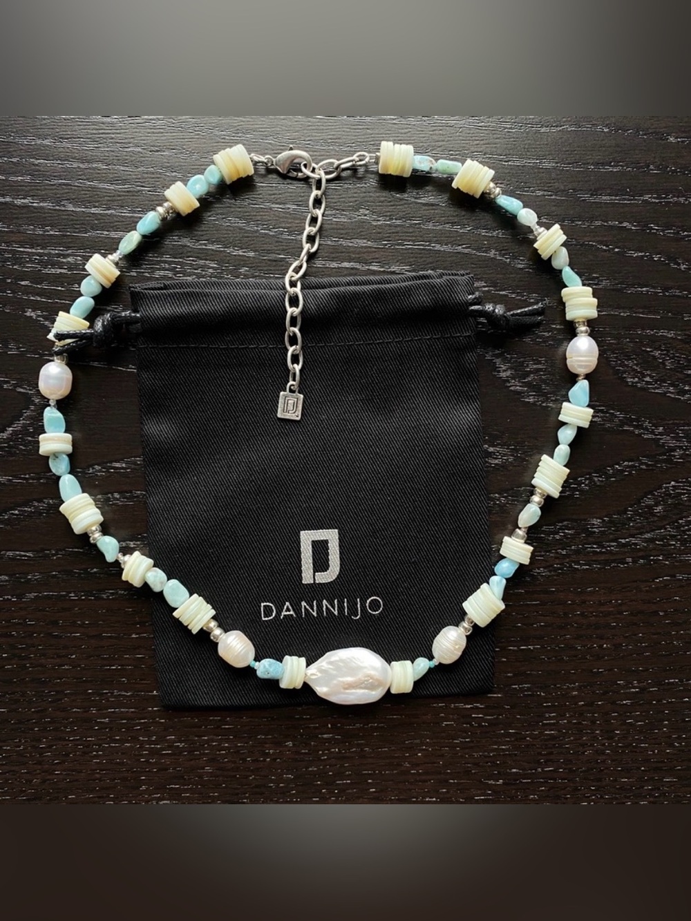 🍁 DANNIJO Riviera Beaded Necklace